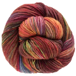 Dream in Color Riley Yarn - Anything Goes